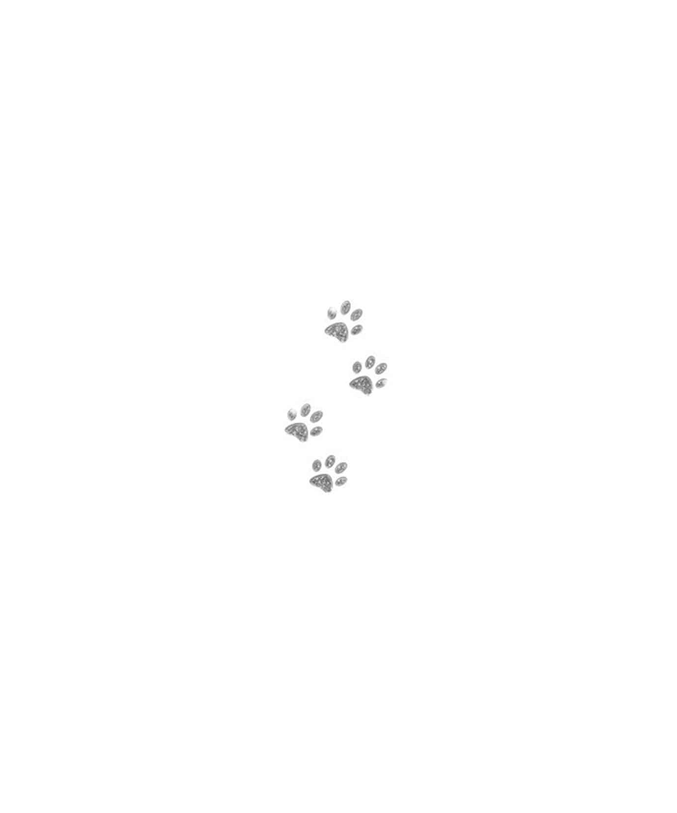 S-M1 Image