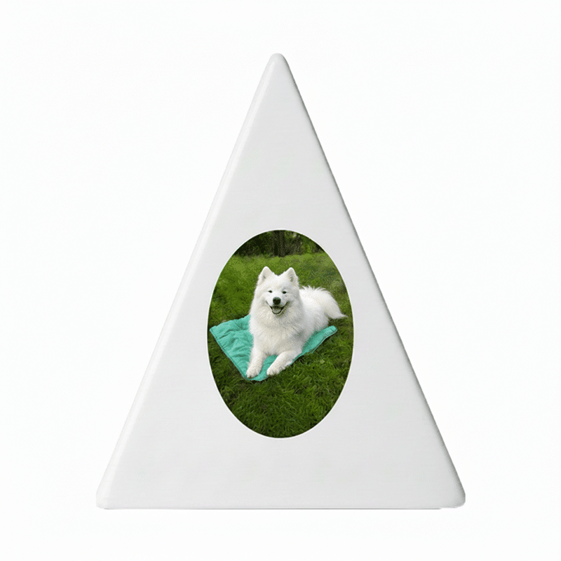 T1002 Image